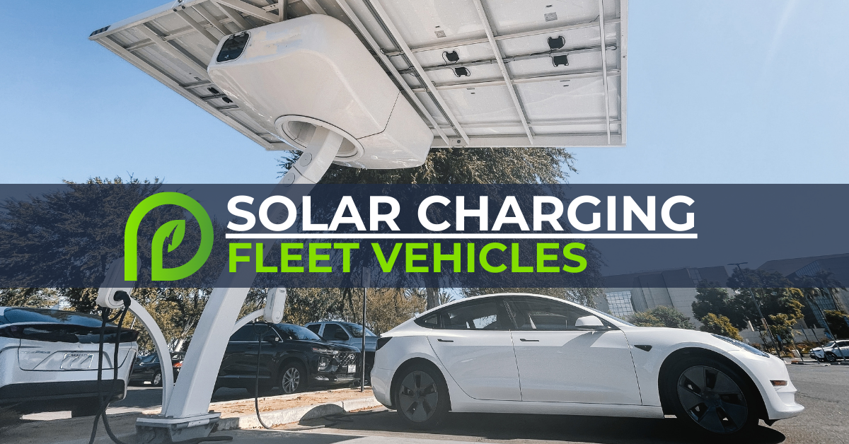 Keep your fleet cool while they charge in the shade under solar panels 